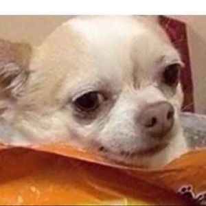 Meet your Posher, Iliana